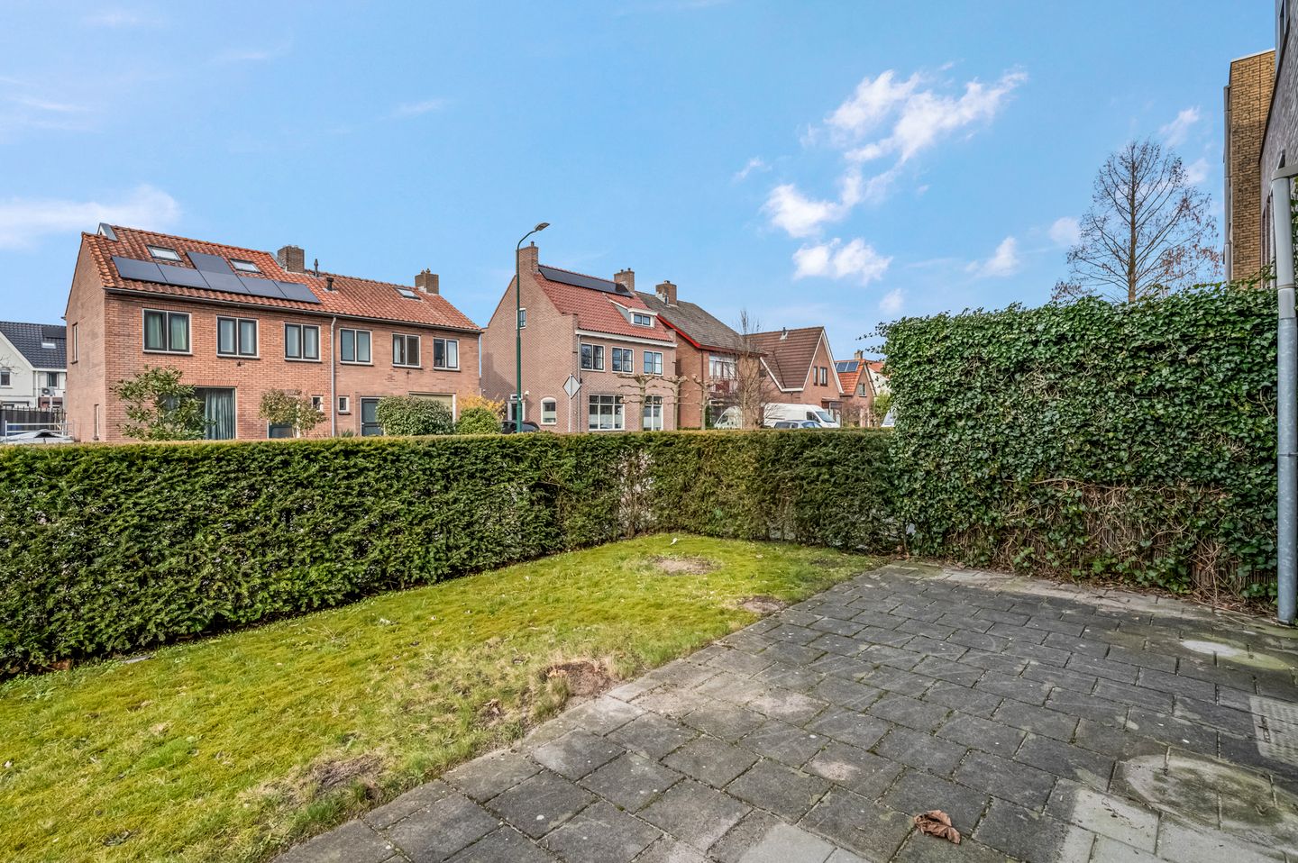 Foto 20 van Vlindertuin 1