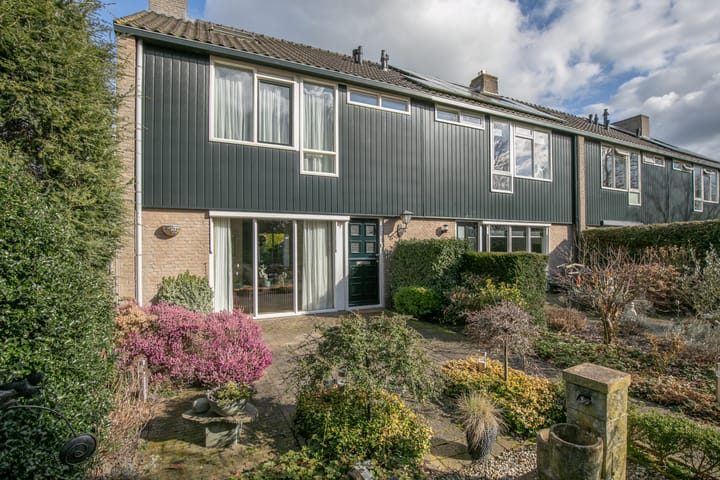 Foto 1 van Ridderspoor 33