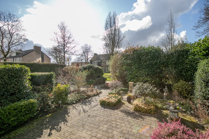 Foto 2 van Ridderspoor 33