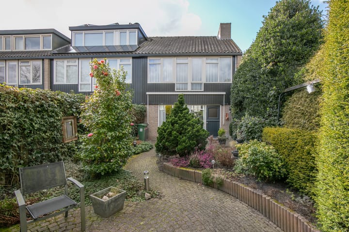 Foto 3 van Ridderspoor 33