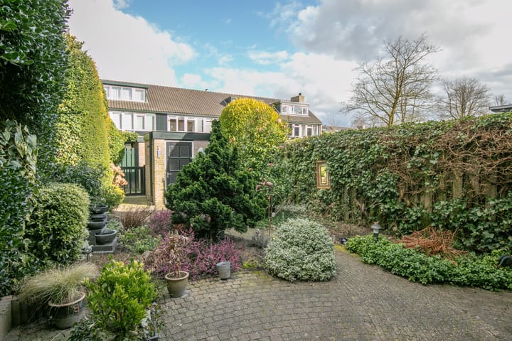 Foto 4 van Ridderspoor 33