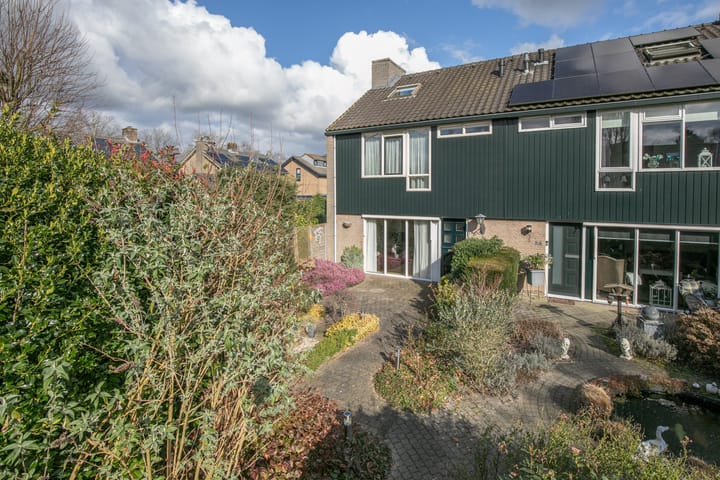 Foto 35 van Ridderspoor 33