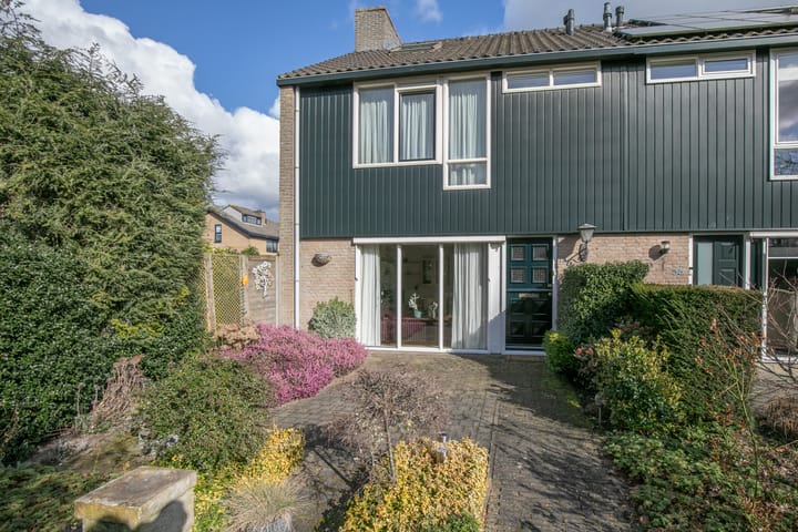 Foto 37 van Ridderspoor 33