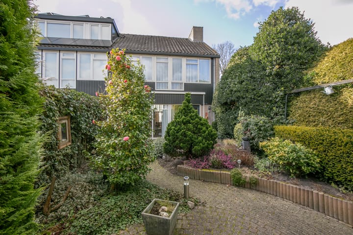 Foto 40 van Ridderspoor 33