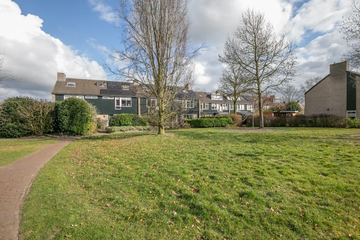 Foto 44 van Ridderspoor 33