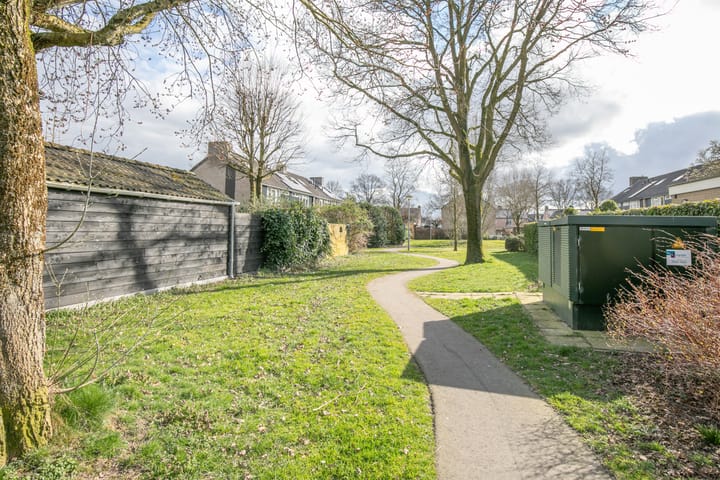 Foto 43 van Ridderspoor 33