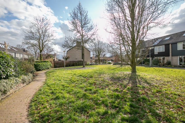 Foto 45 van Ridderspoor 33