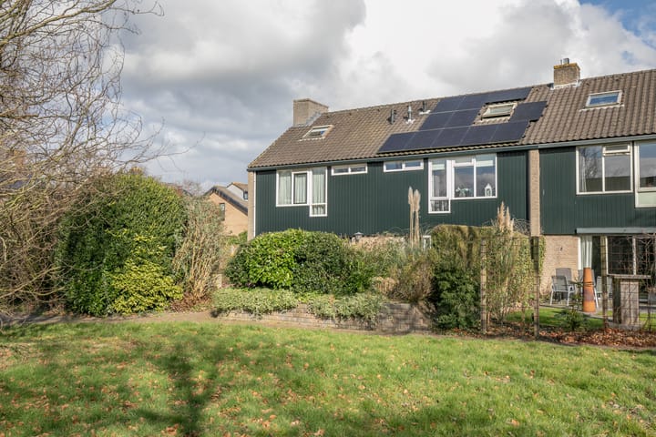 Foto 47 van Ridderspoor 33