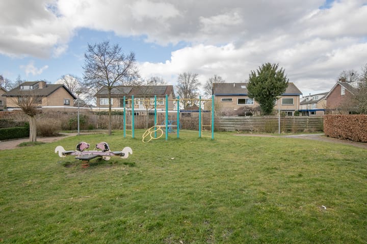 Foto 49 van Ridderspoor 33