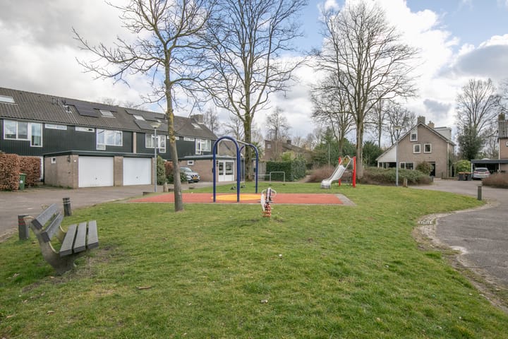 Foto 48 van Ridderspoor 33