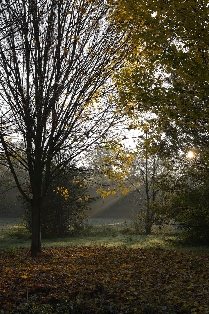 Photo 1 of Meerstraat 22