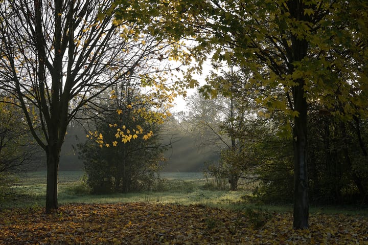 Photo 4 of Meerstraat 22