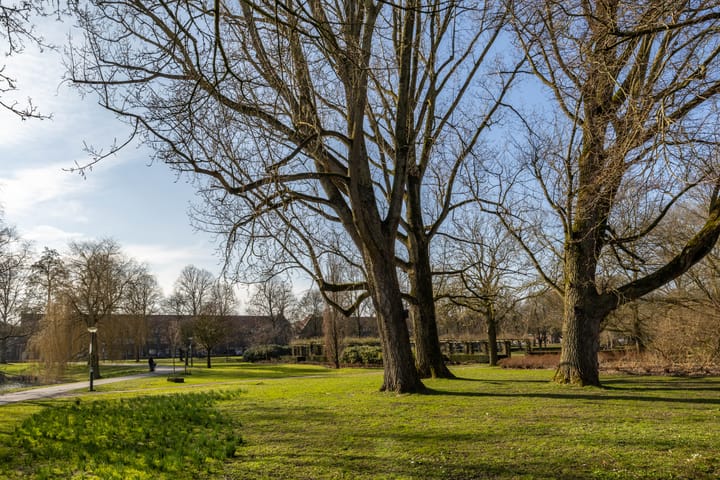 Foto 37 van Hyacinthstraat 119