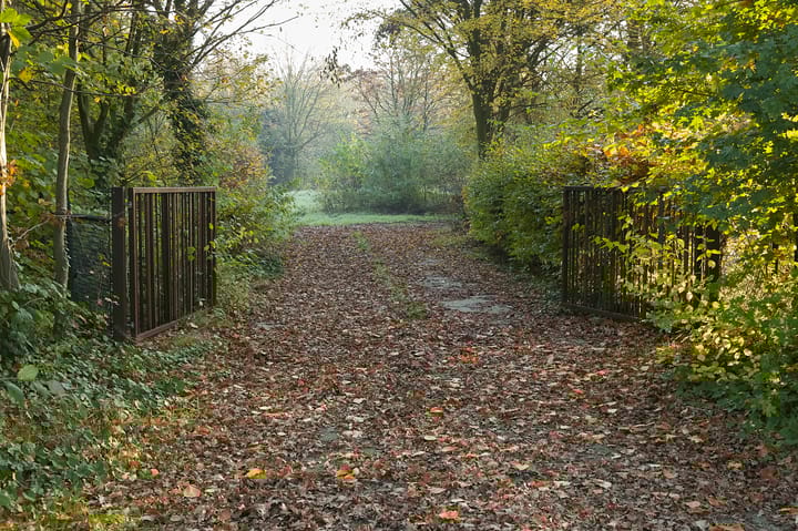 Photo 7 of Meerstraat 22