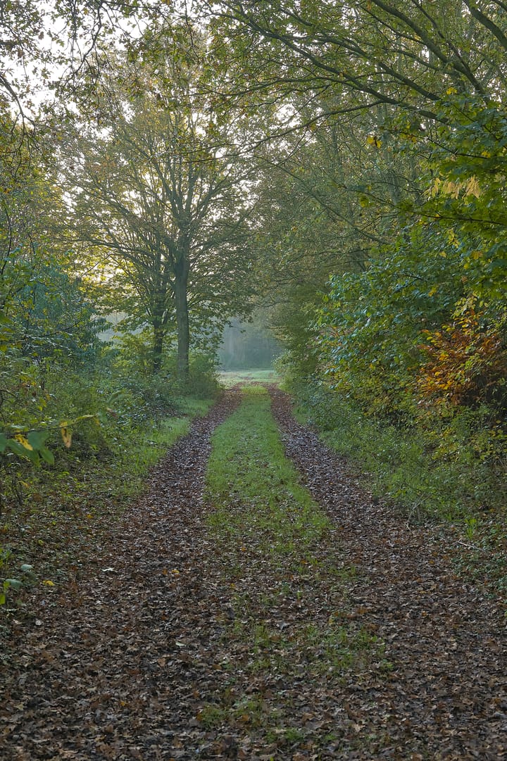 Photo 8 of Meerstraat 22