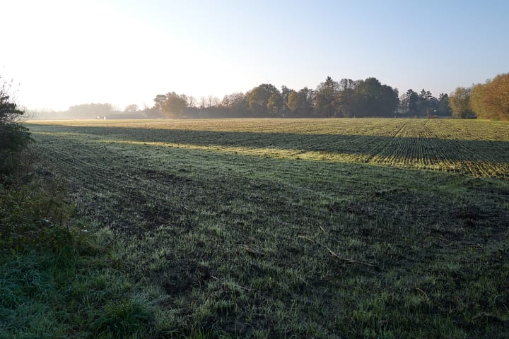 Photo 14 of Meerstraat 22