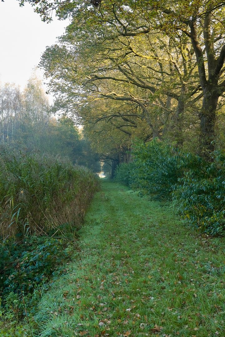 Photo 15 of Meerstraat 22