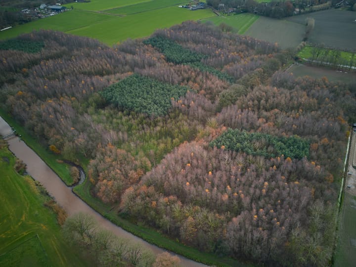 Photo 16 of Meerstraat 22