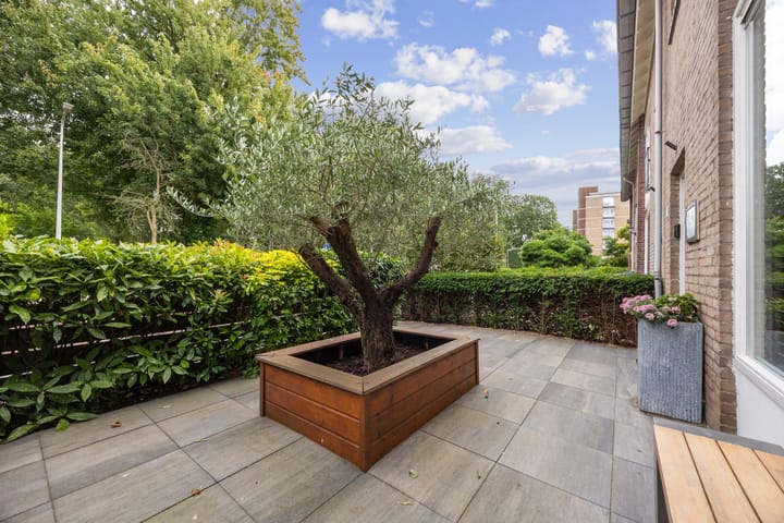 Foto 12 van Dignaland 29