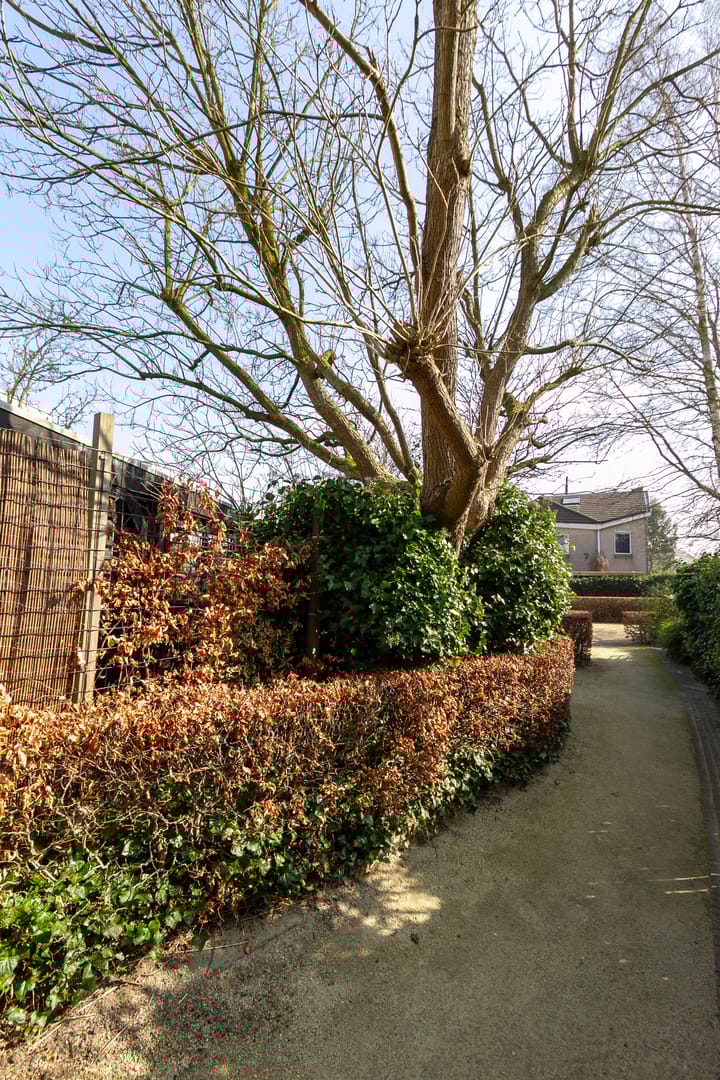 Foto 58 van Panfluitstraat 18