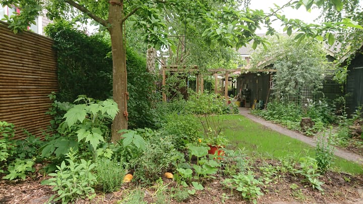 Foto 2 van Westeinde 28