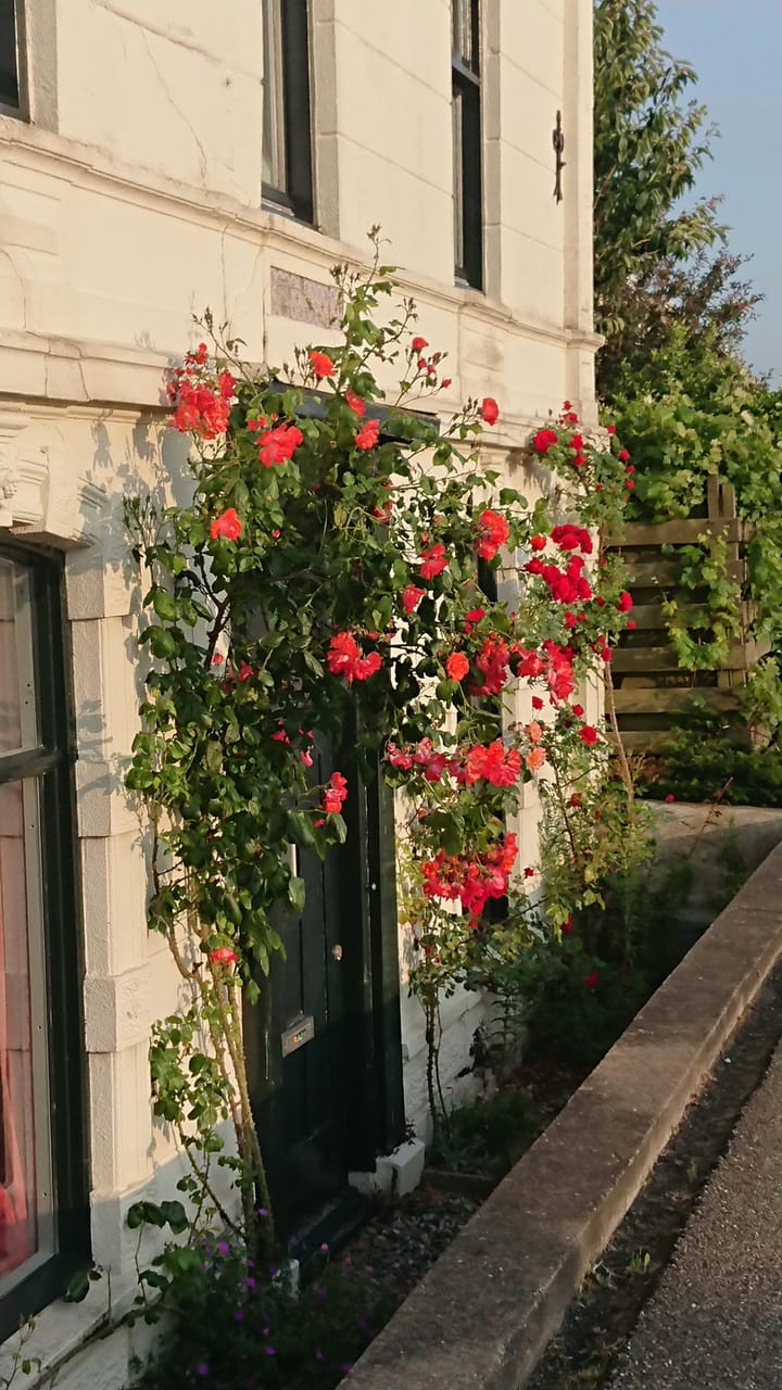 Foto 38 van Westeinde 28