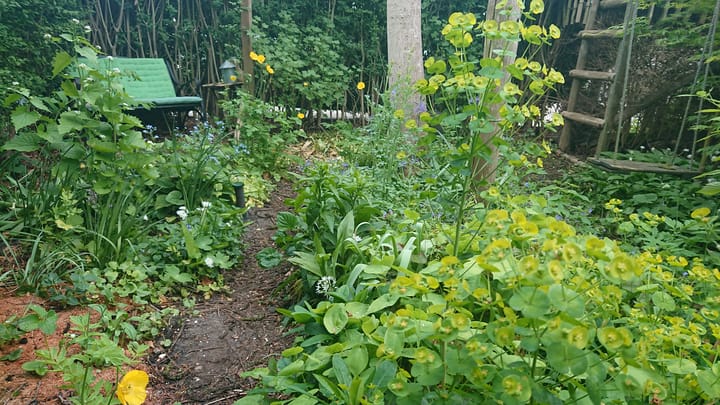 Foto 39 van Westeinde 28