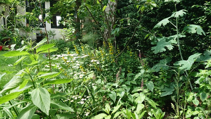 Foto 44 van Westeinde 28