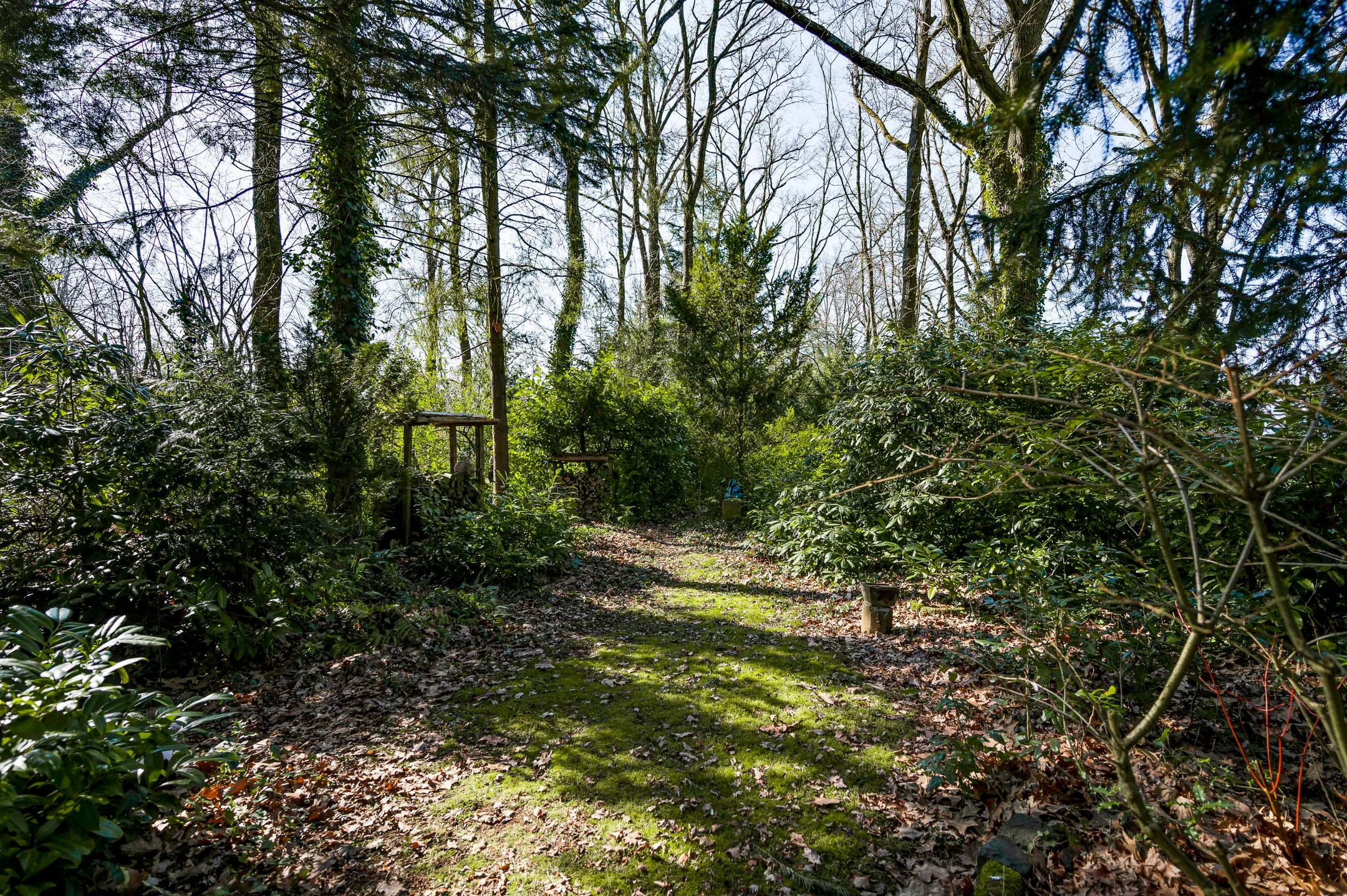 Foto 36 van Eikendreef 12