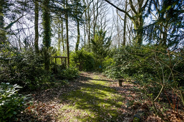 Foto 36 van Eikendreef 12