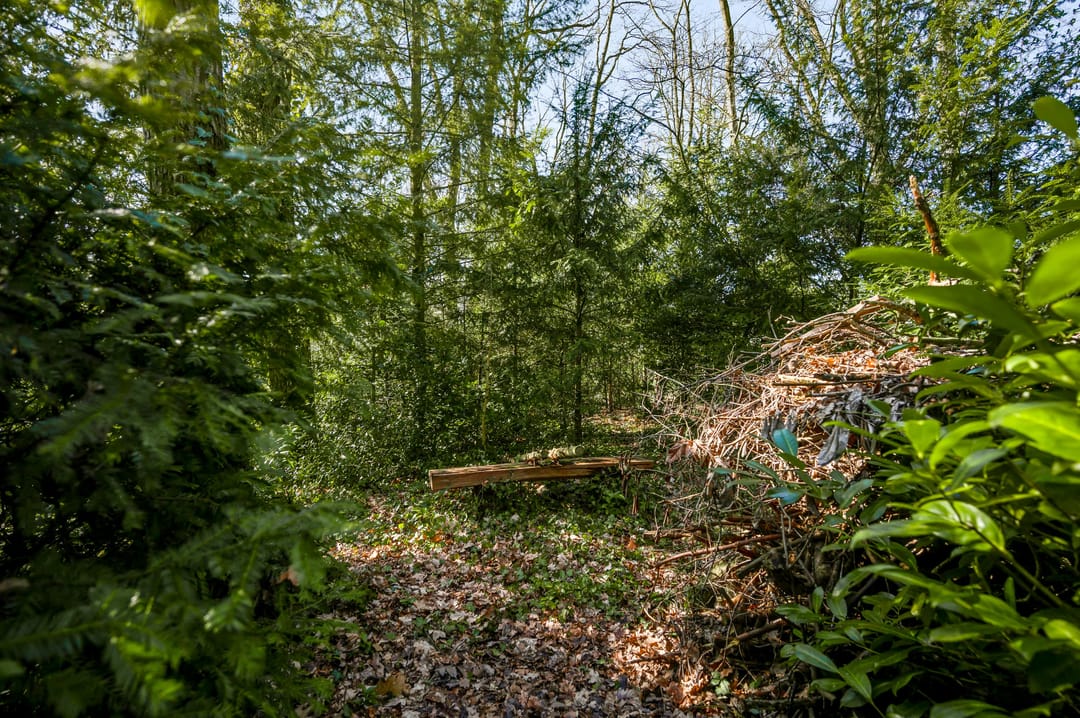 Foto 38 van Eikendreef 12