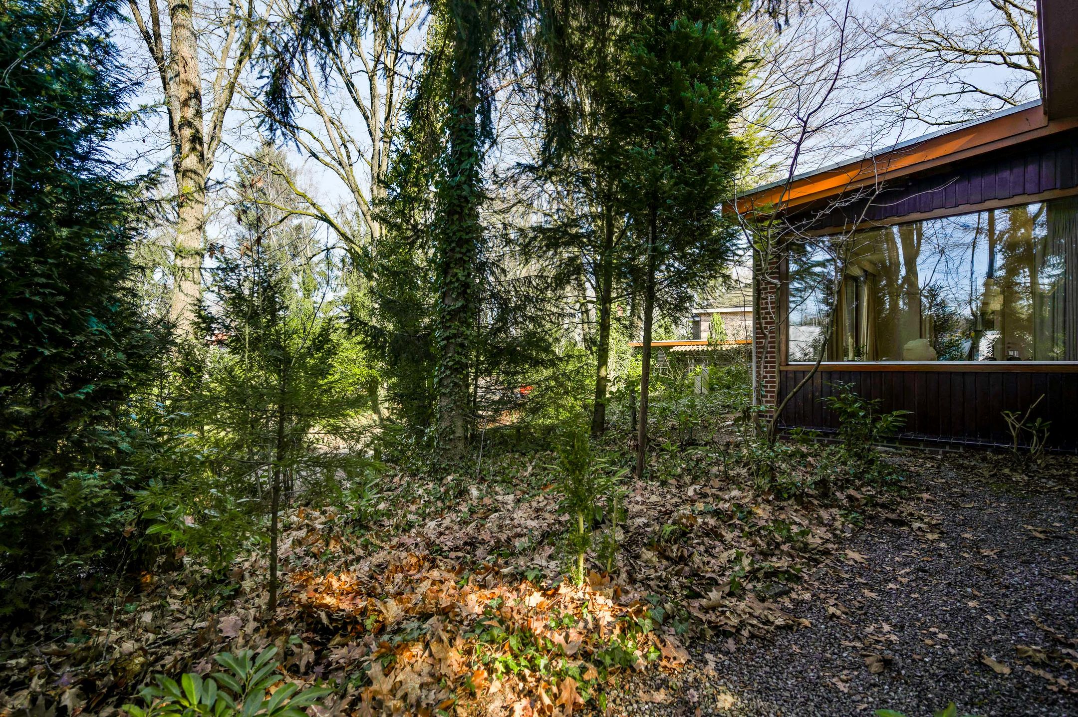 Foto 39 van Eikendreef 12