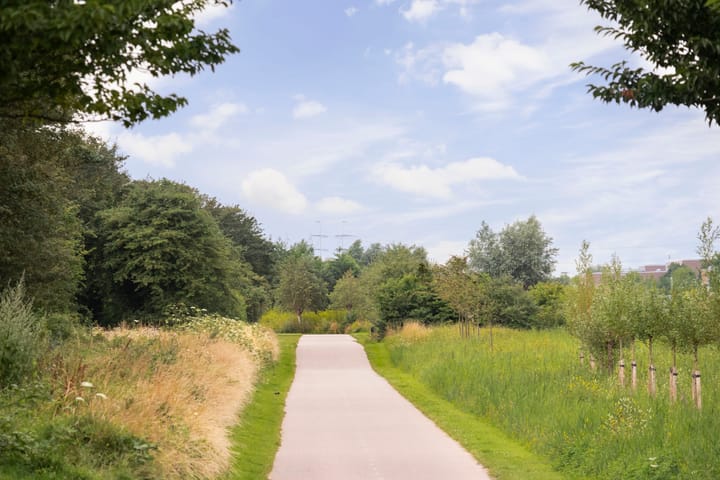 Foto 32 van Tolheksbos 66