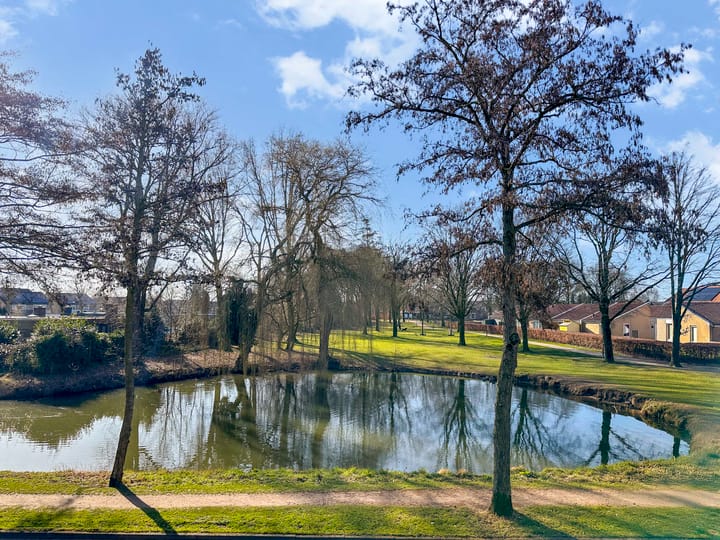 Foto 35 van Leliestraat 29