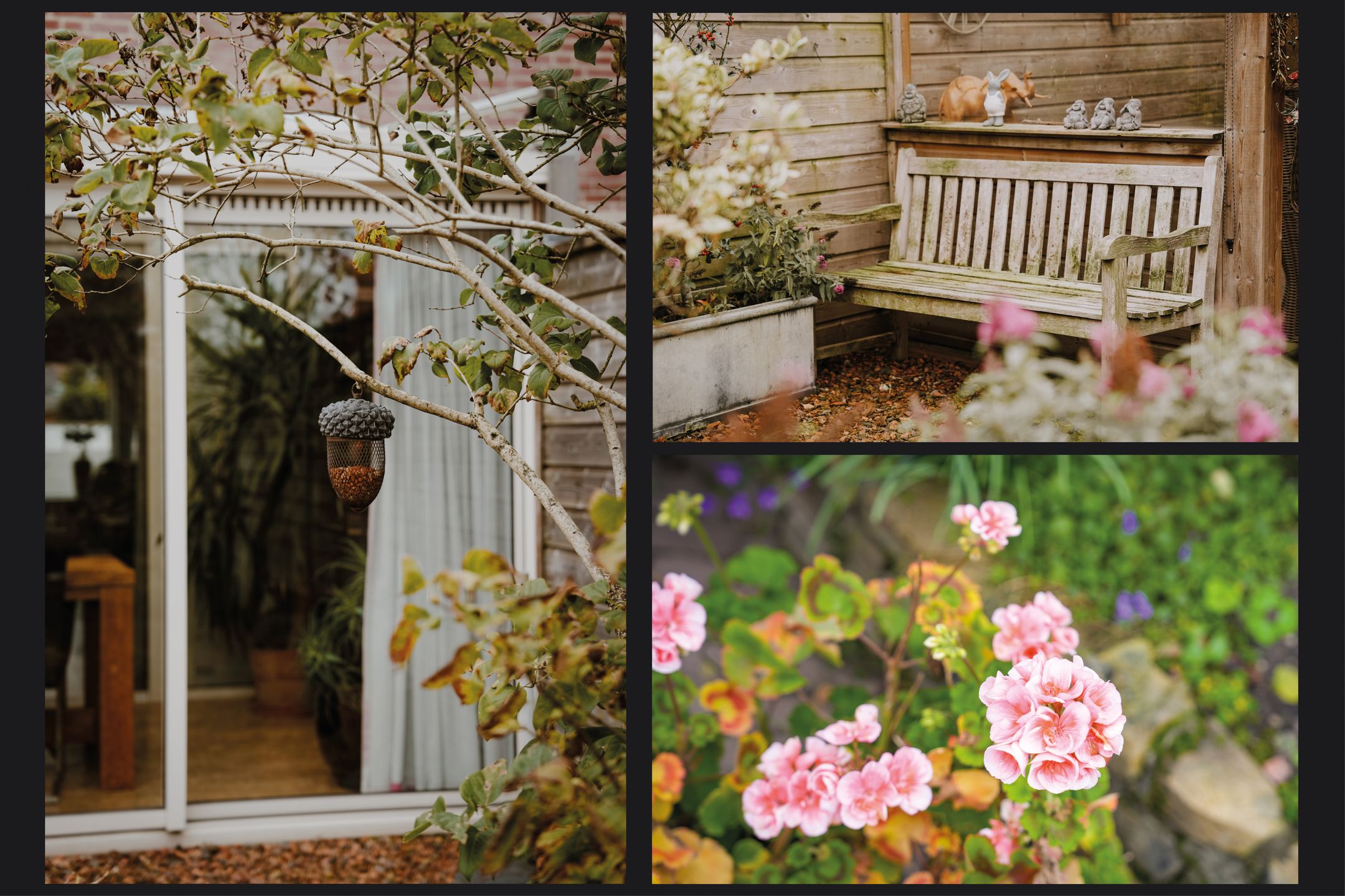 Photo 30 of Bieskamp 15