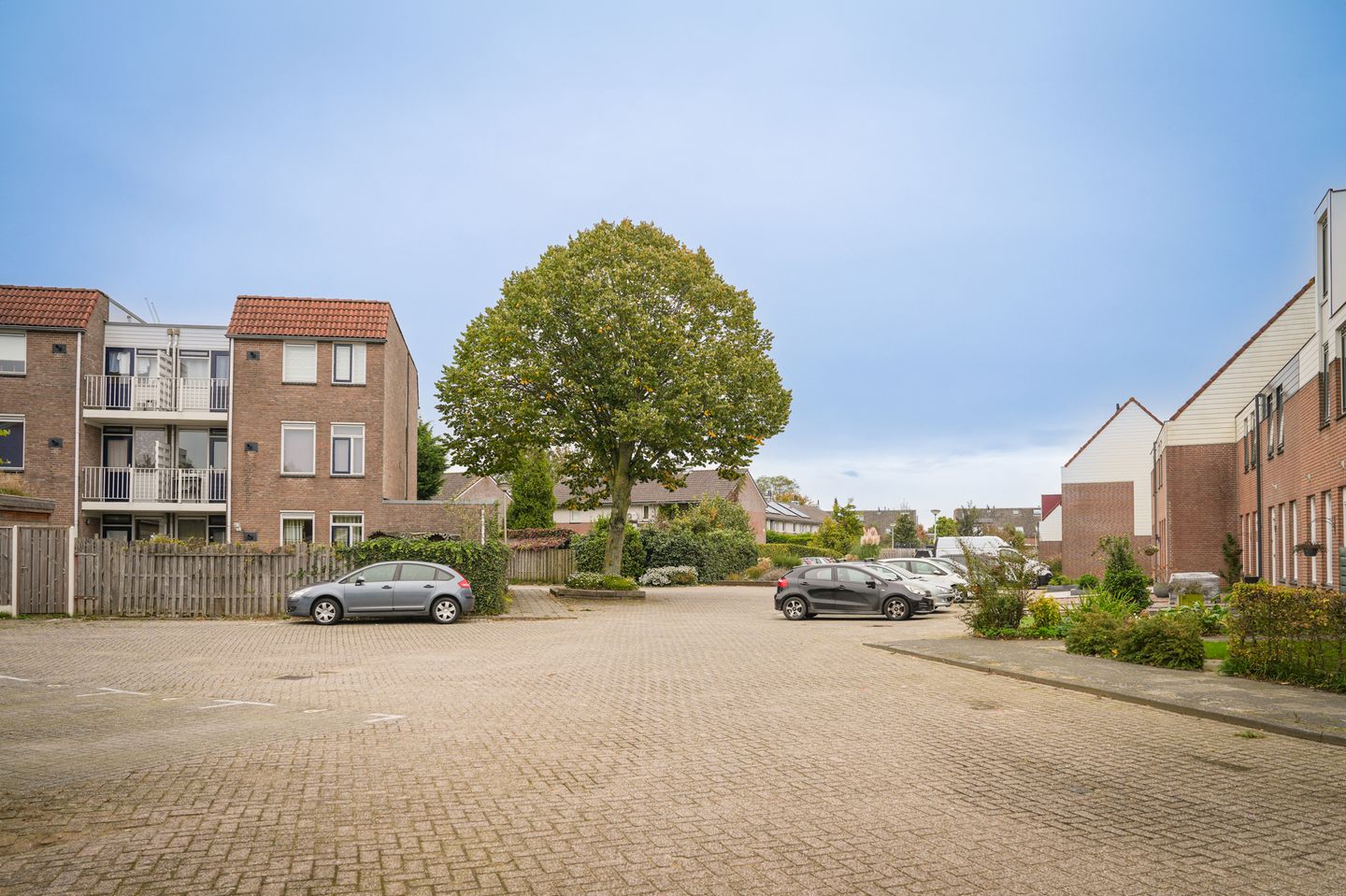 Photo 34 of Bieskamp 15