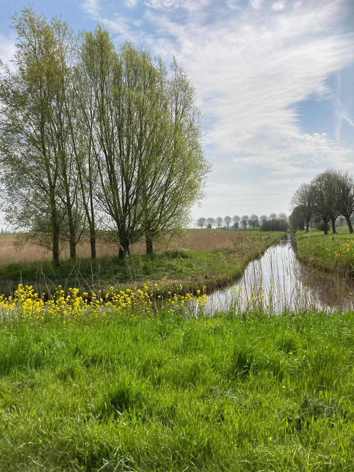 Foto 29 van Amerbos 19