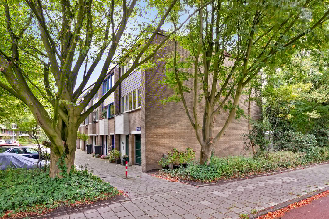 Foto 1 van Amerbos 19