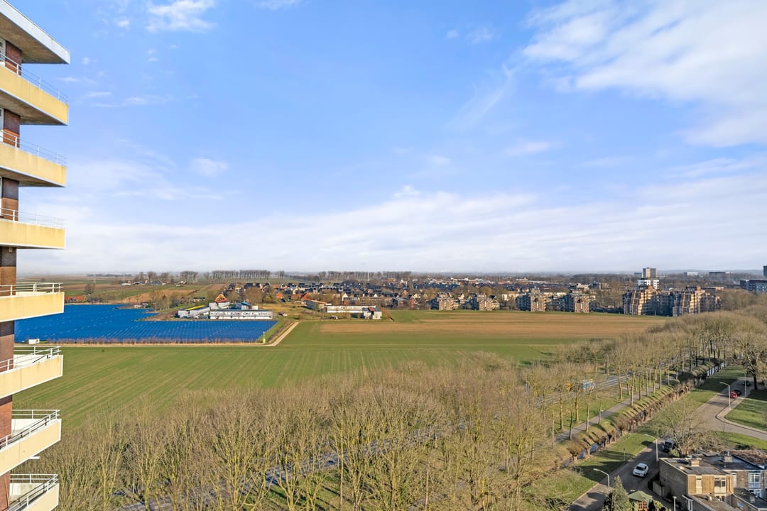 Foto 8 van Albardaweg 155