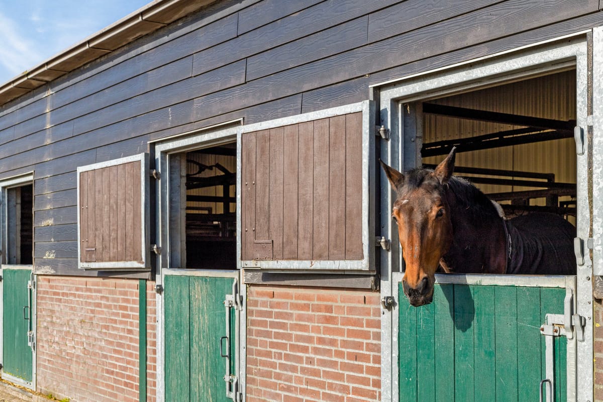 Foto 29 van Klein Hitland 221-A