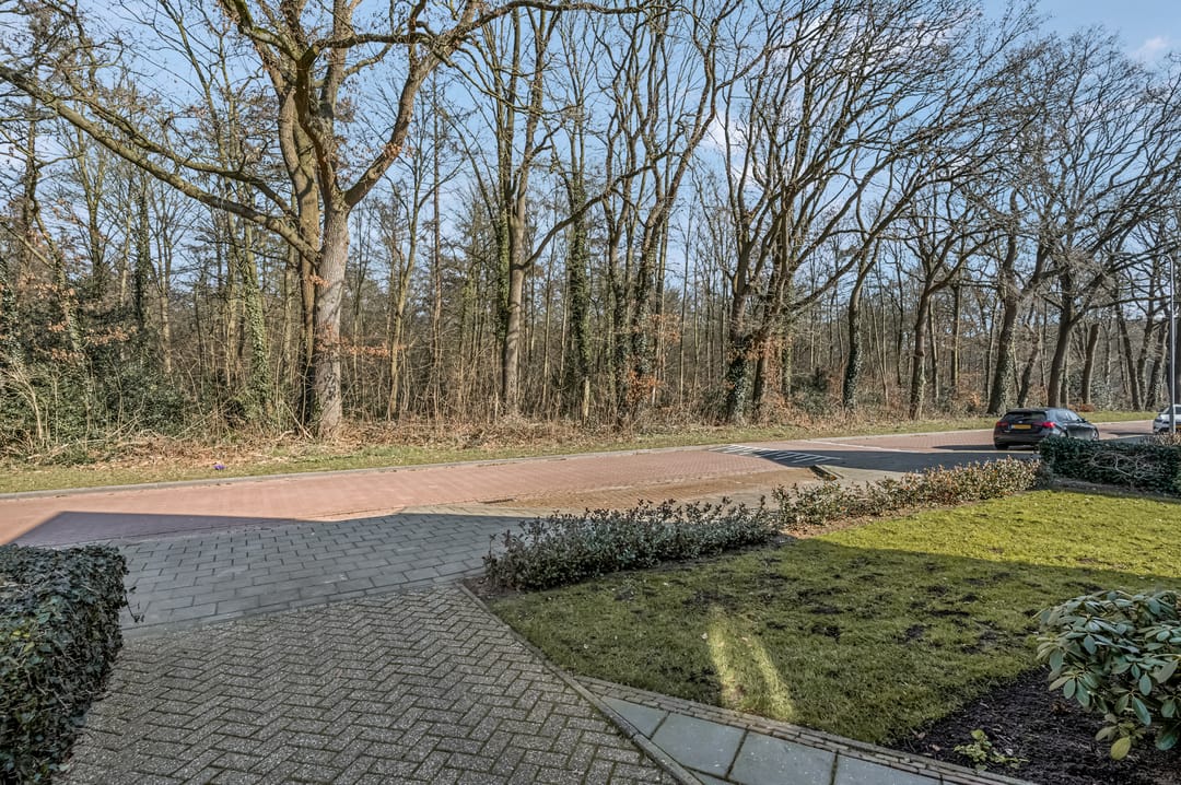 Photo 32 of Singel 3