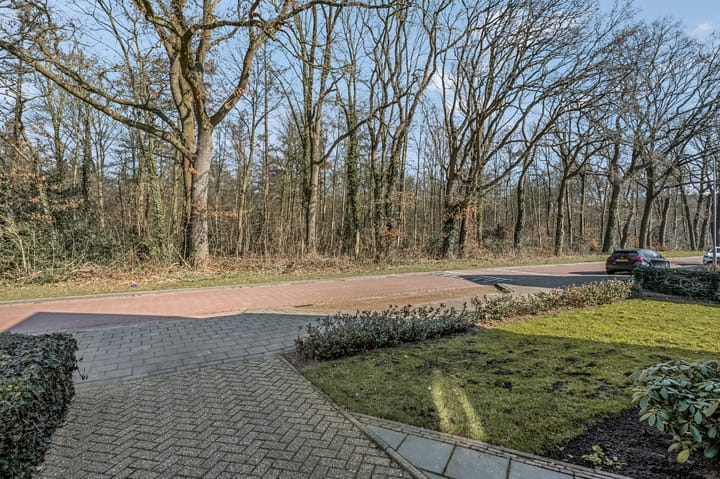 Foto 32 van Singel 3