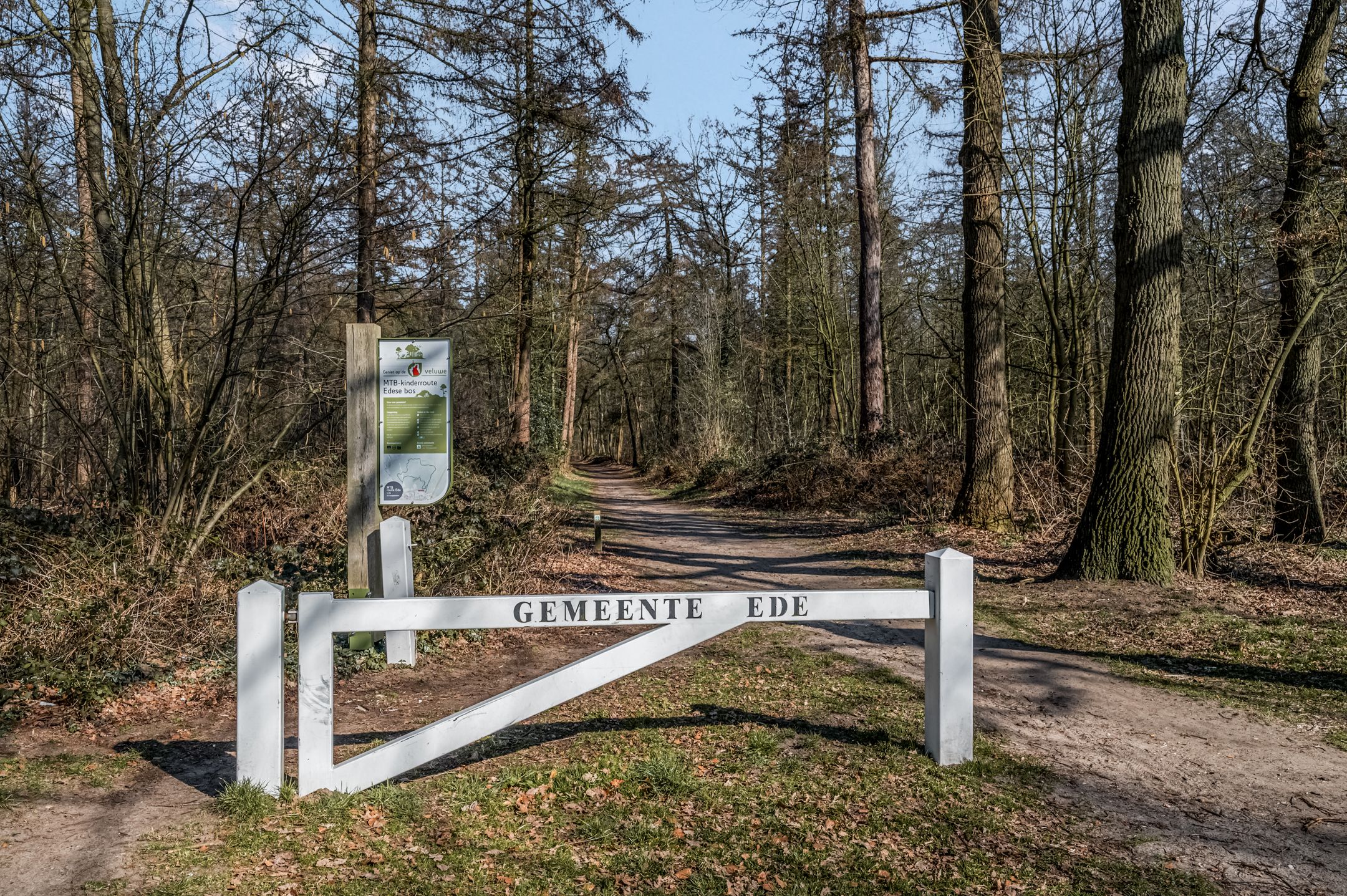 Photo 33 of Singel 3