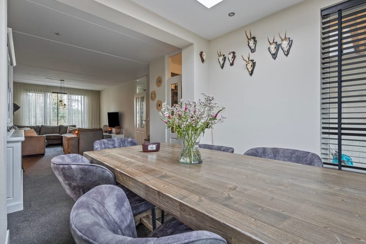 Foto 14 van Kattedoorn 40