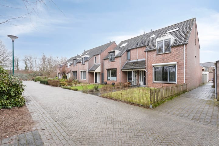 Foto 31 van Kattedoorn 40