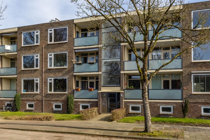 Foto 5 van Betje Wolffstraat 66