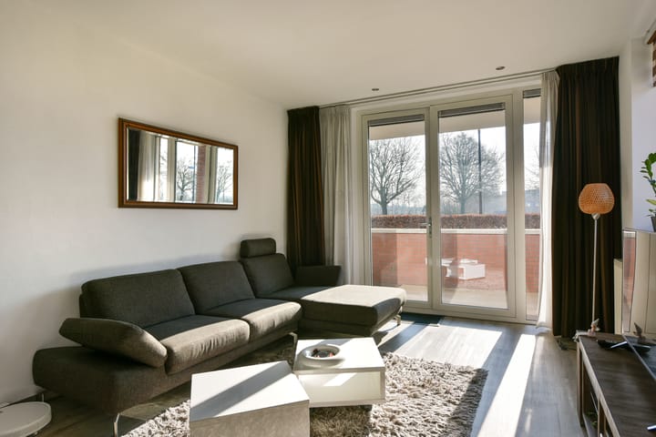 Foto 2 van Rietgans 3