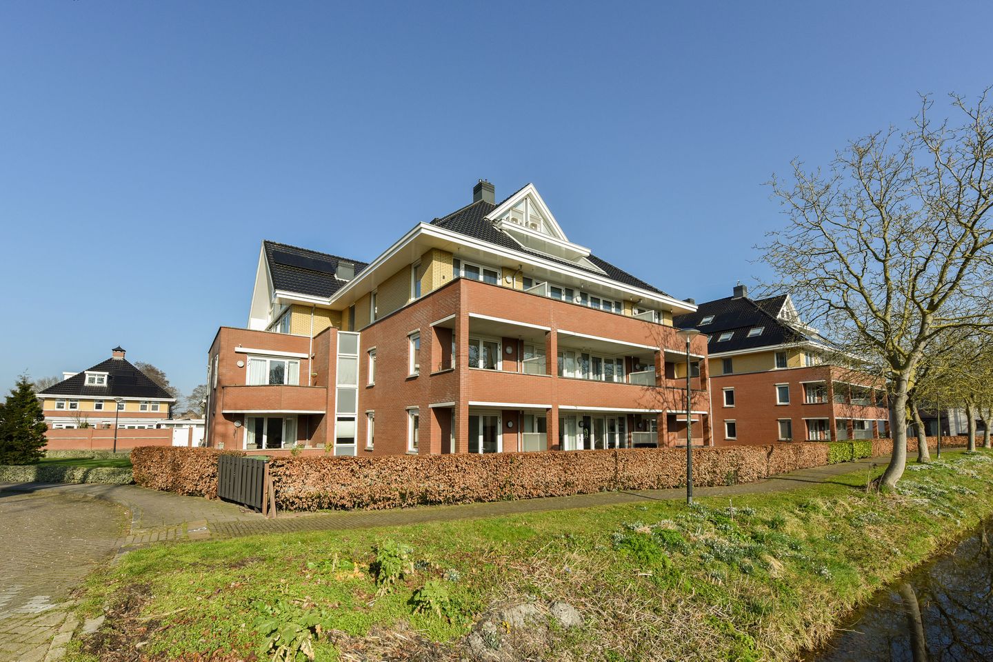 Foto 4 van Rietgans 3