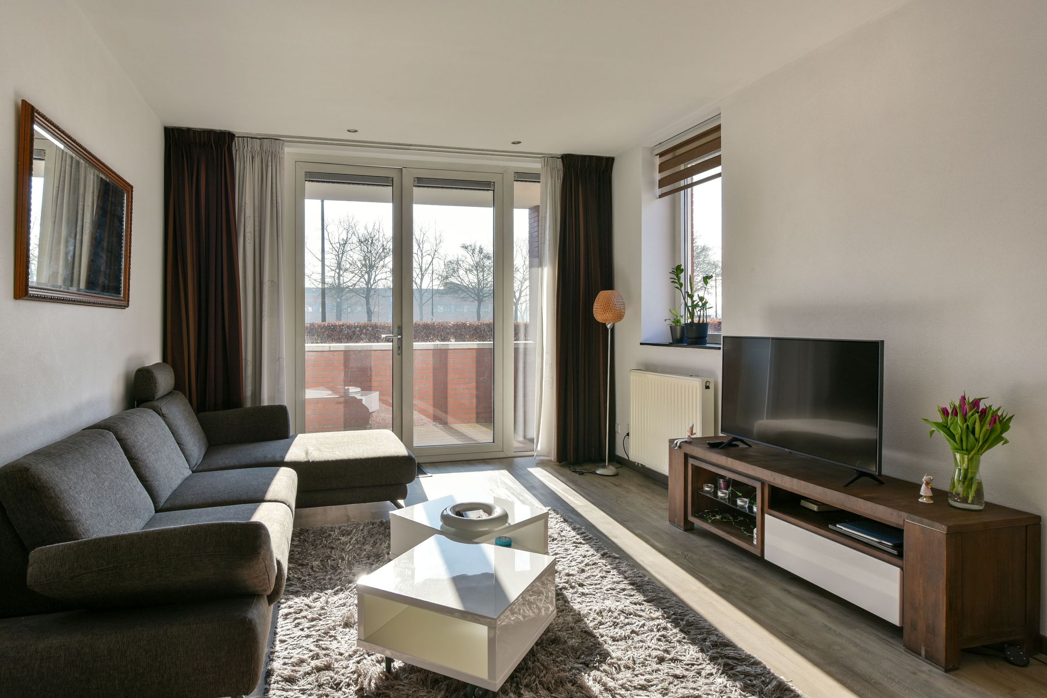 Foto 6 van Rietgans 3