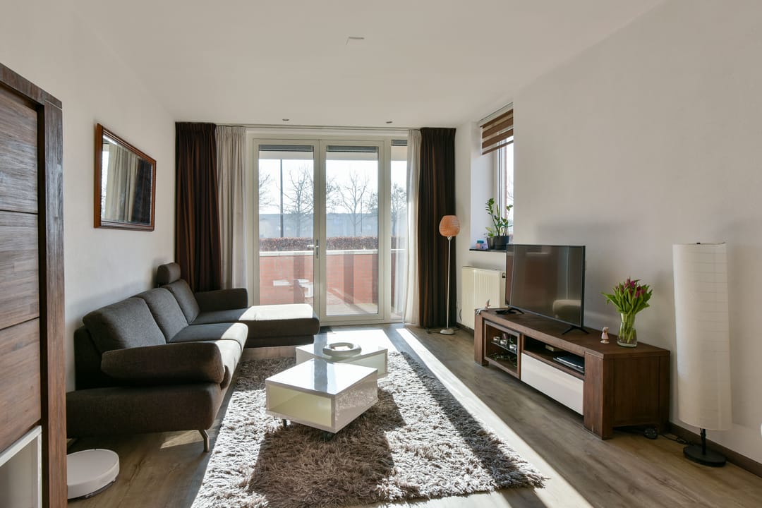 Foto 7 van Rietgans 3